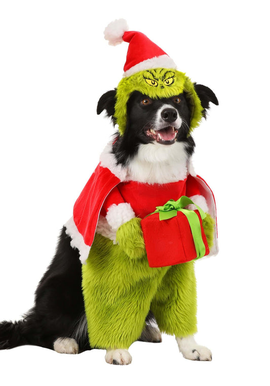 Green Santa Dog Costume, Size M